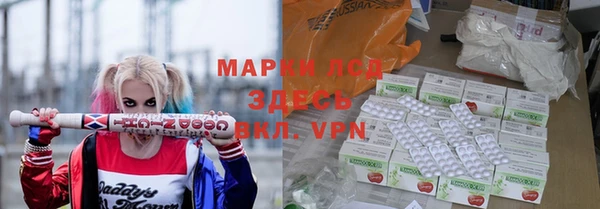 стафф Аркадак