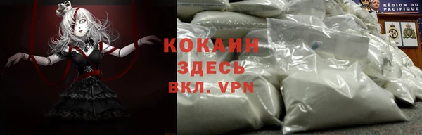 apvp Арсеньев