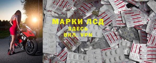 стафф Аркадак