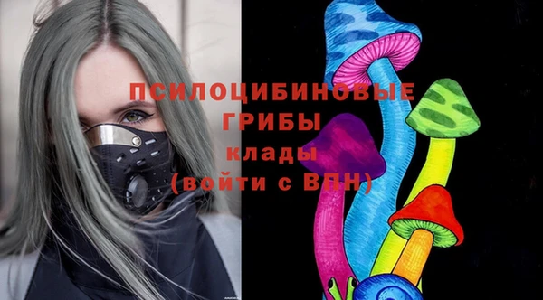 apvp Арсеньев
